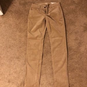 Ann Taylor Loft Cords